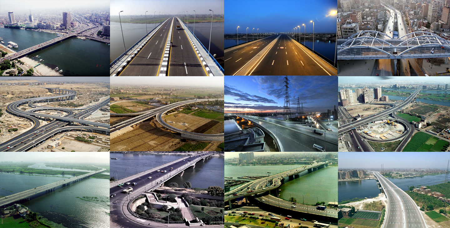 Bridges and Specialized Structures