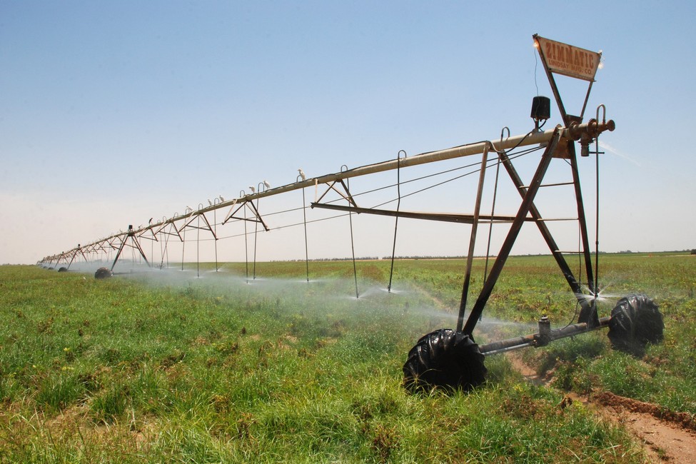 Salhia Agro-Industrial Projects - Egypt